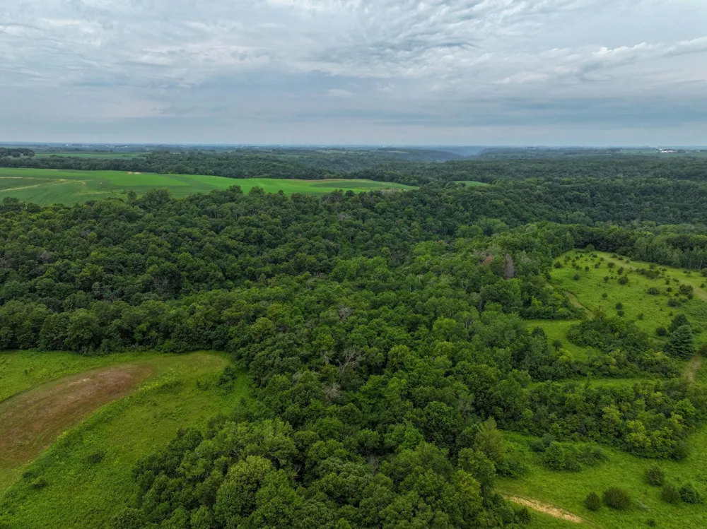 tbd 590th Street Kellogg, MN 55964