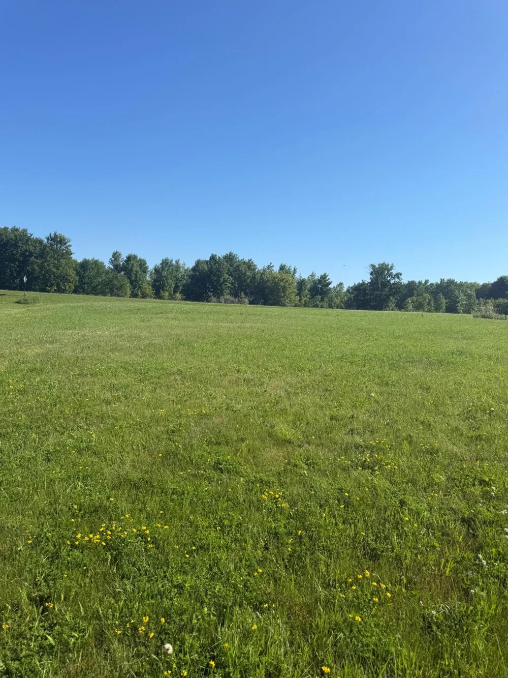 TBD Hummingbird Lane SW Alexandria, MN 56308