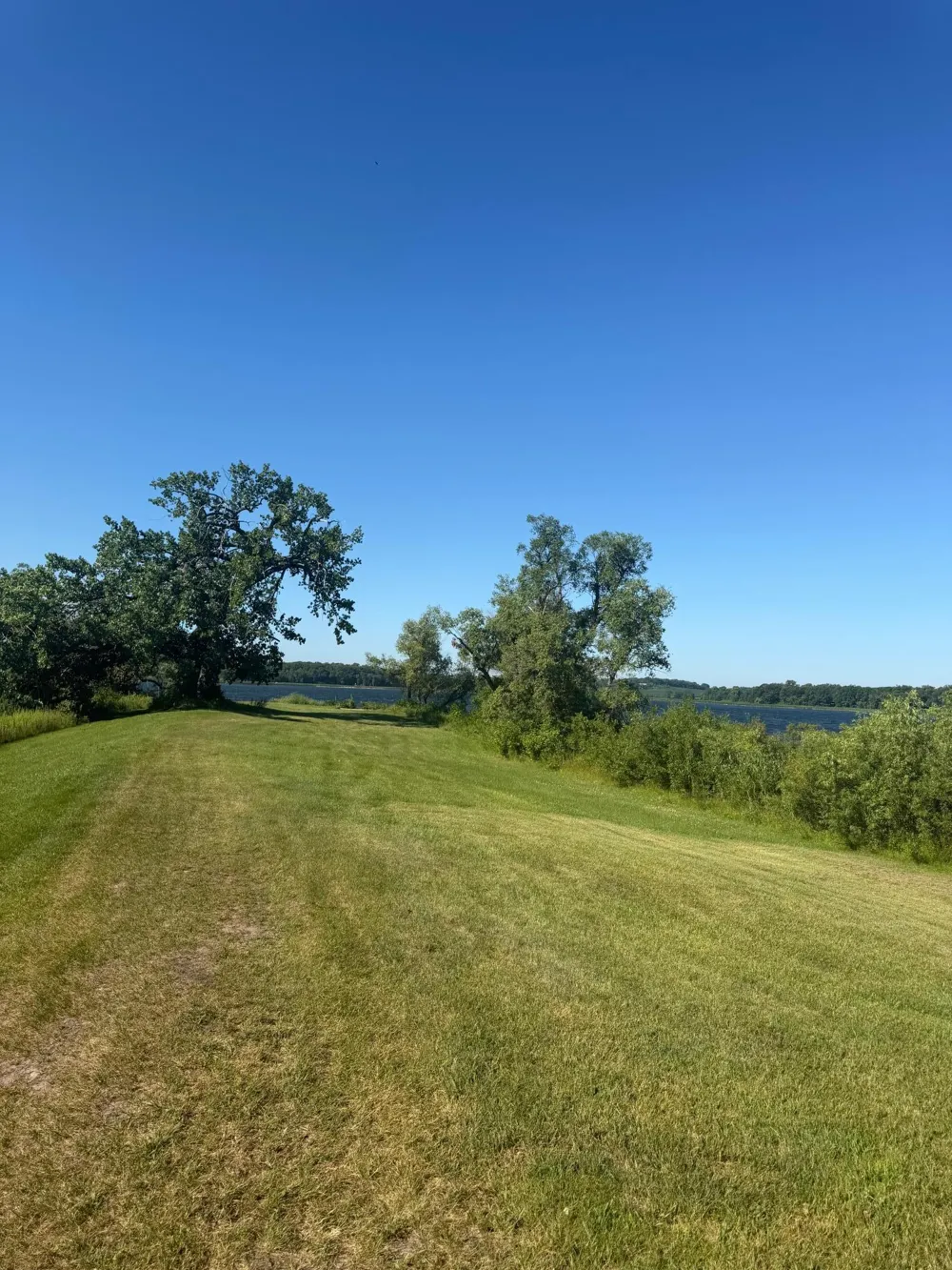 TBD Hummingbird Lane SW Alexandria, MN 56308