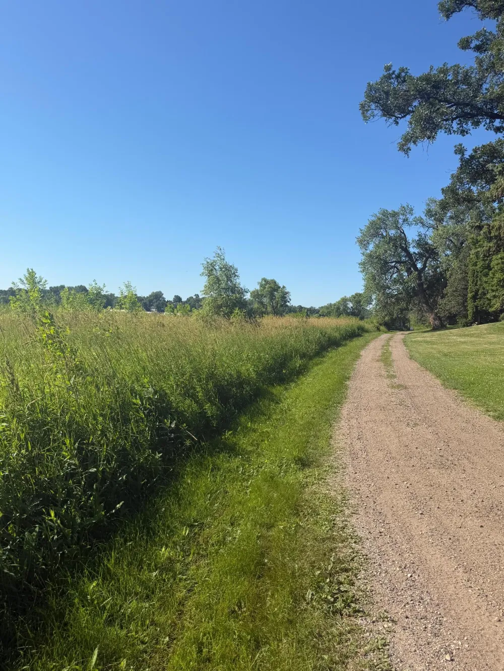 TBD Hummingbird Lane SW Alexandria, MN 56308