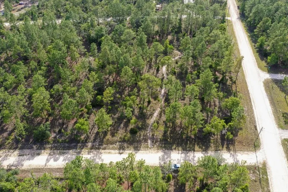 0000 NE 132 TERRACE LOT 1 TERRACE Williston, FL 32696