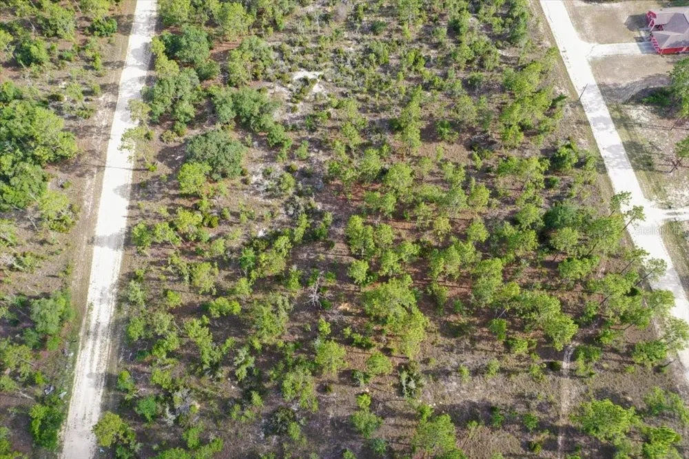 0000 NE 132 TERRACE LOT 4 TERRACE Williston, FL 32696