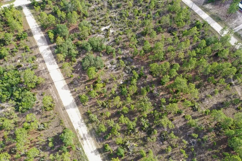 0000 NE 132 TERRACE LOT 4 TERRACE Williston, FL 32696