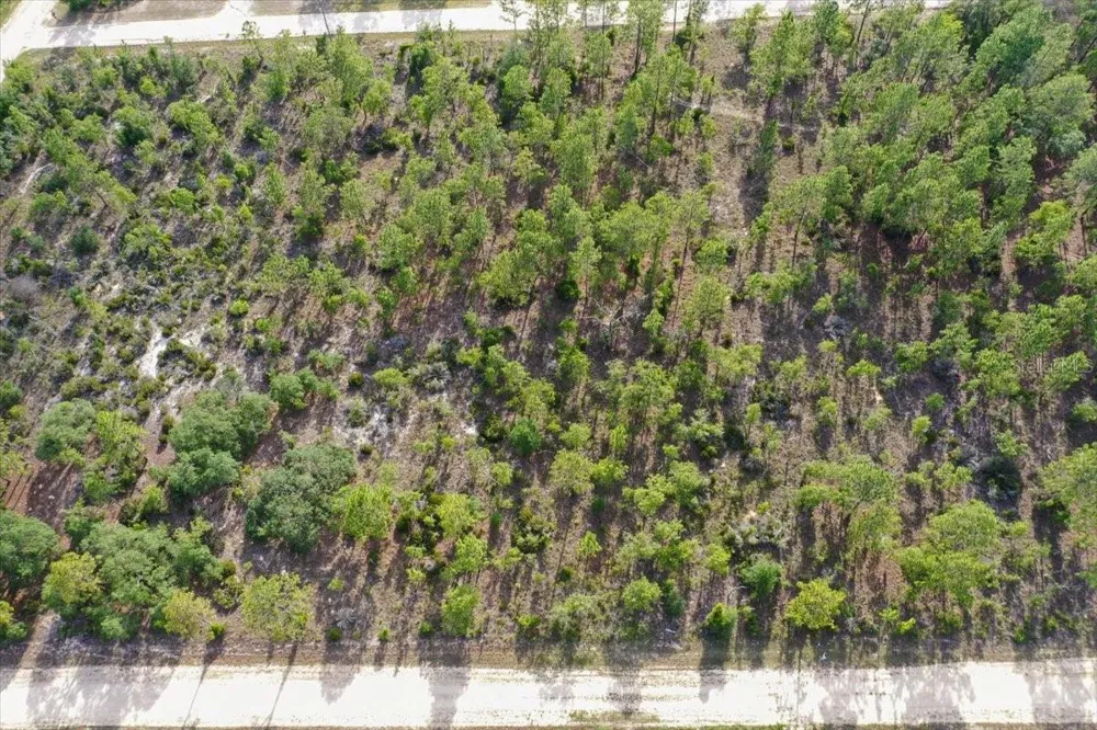 0000 NE 132 TERRACE LOT 4 TERRACE Williston, FL 32696