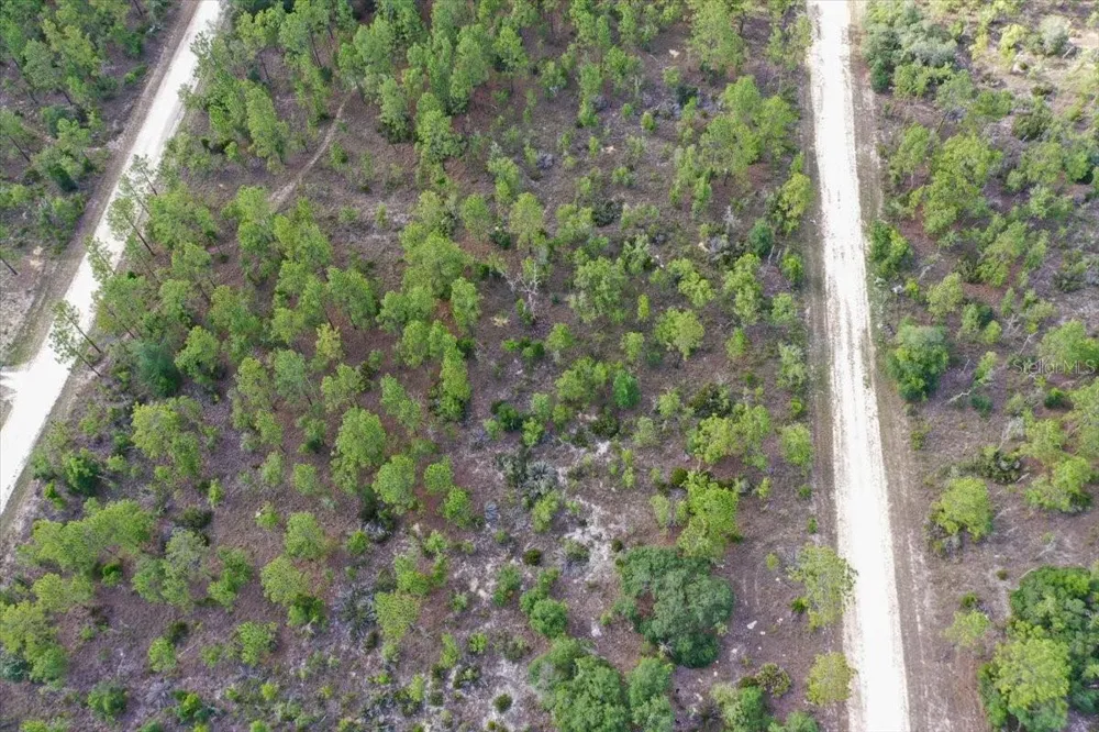 0000 NE 132 TERRACE LOT 4 TERRACE Williston, FL 32696