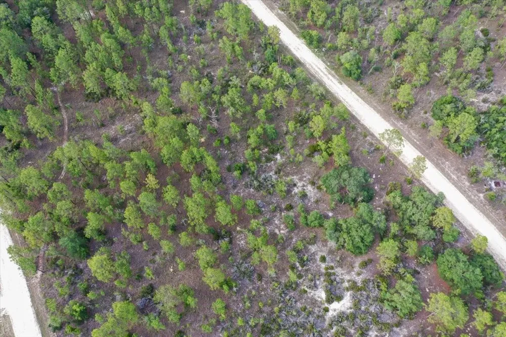 0000 NE 132 TERRACE LOT 4 TERRACE Williston, FL 32696