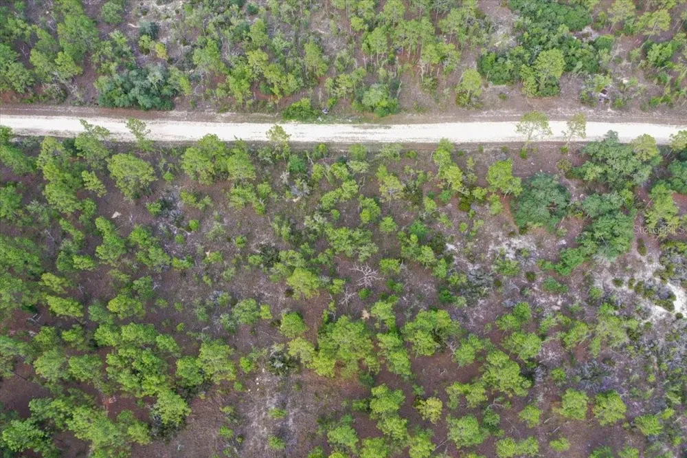 0000 NE 132 TERRACE LOT 4 TERRACE Williston, FL 32696