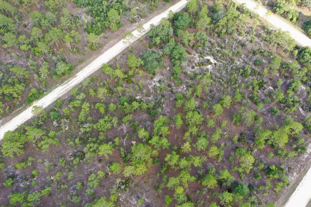 0000 NE 132 TERRACE LOT 4 TERRACE Williston, FL 32696