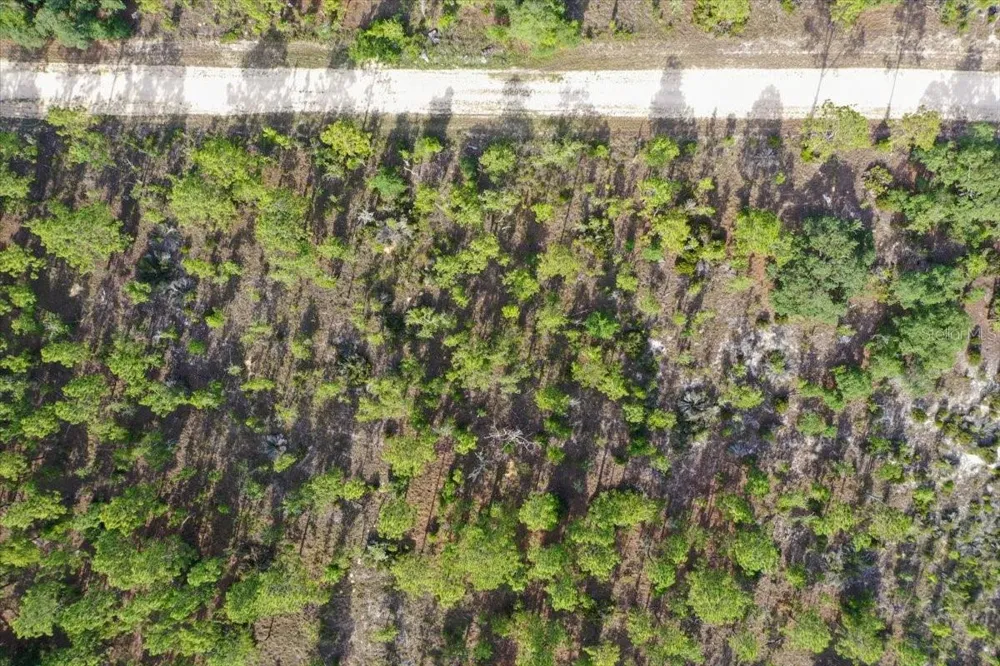 0000 NE 132 TERRACE LOT 4 TERRACE Williston, FL 32696