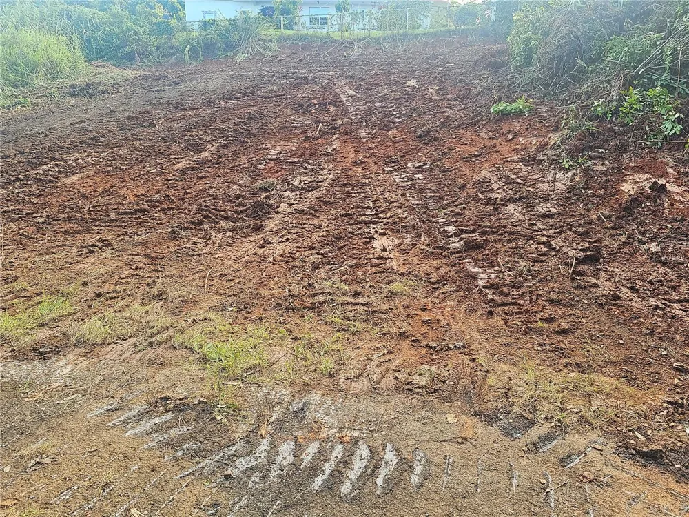 975 INT Ceiba, PR 00735
