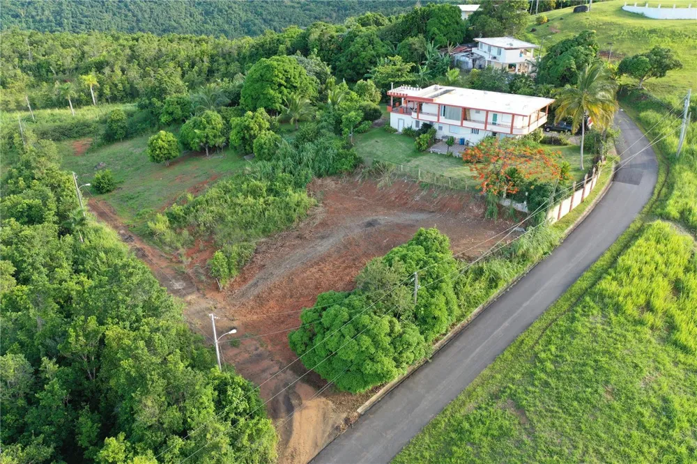 975 INT Ceiba, PR 00735
