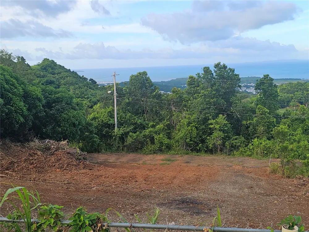 975 INT Ceiba, PR 00735