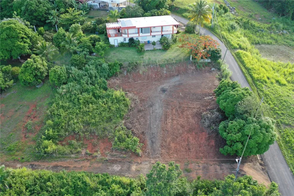 975 INT Ceiba, PR 00735