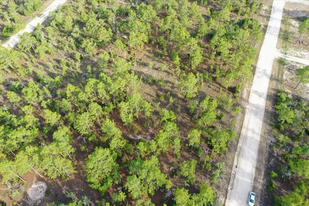 0000 NE 131 LOT 8 TERRACE Williston, FL 32696