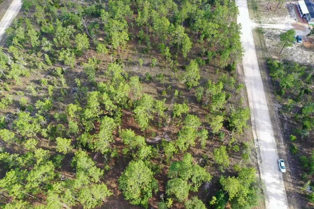 0000 NE 131 LOT 8 TERRACE Williston, FL 32696
