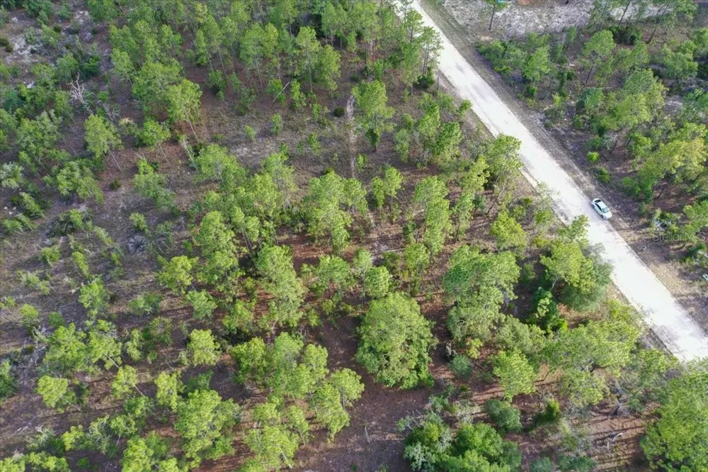 0000 NE 131 LOT 8 TERRACE Williston, FL 32696