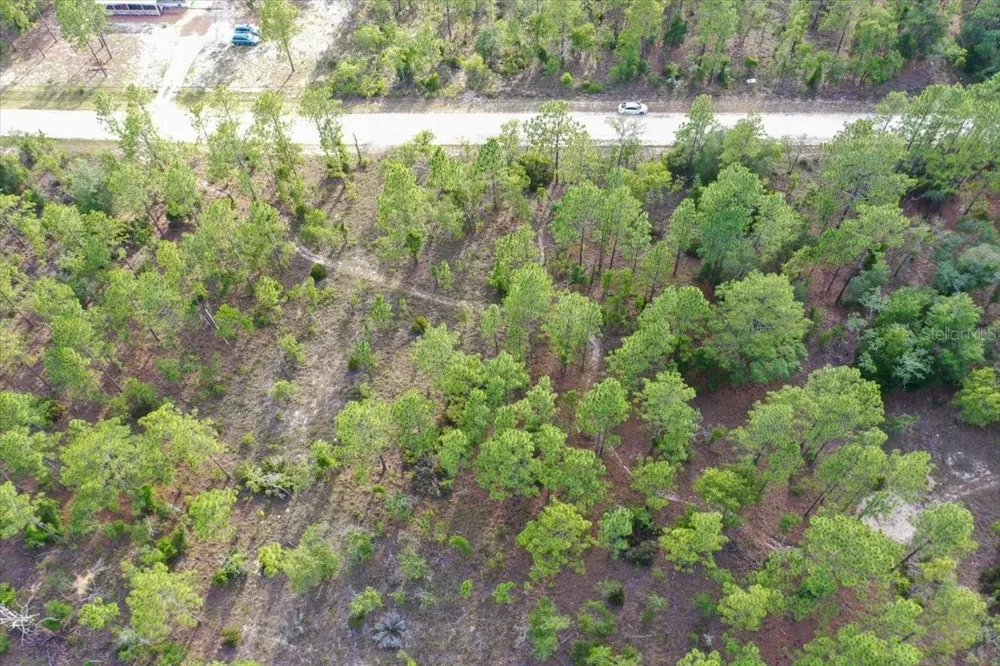 0000 NE 131 LOT 8 TERRACE Williston, FL 32696