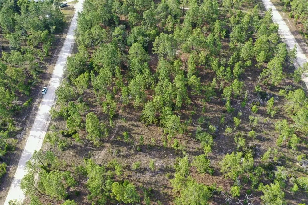 0000 NE 131 LOT 8 TERRACE Williston, FL 32696