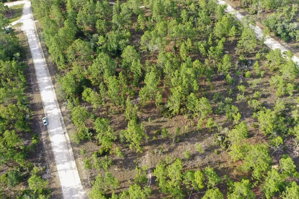 0000 NE 131 LOT 8 TERRACE Williston, FL 32696