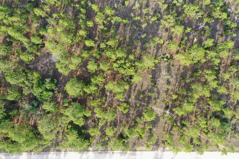 0000 NE 131 LOT 8 TERRACE Williston, FL 32696