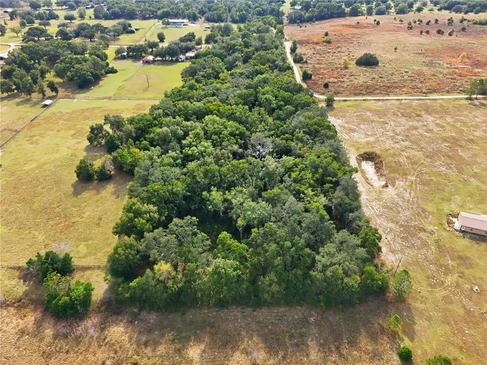 CURLE ROAD Eustis, FL 32736