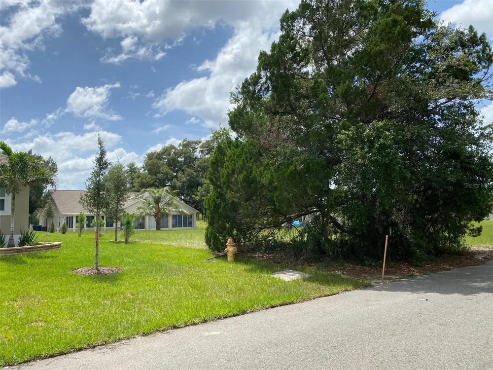 Lot 194 CHESTNUT RIDGE ROAD Dade City, FL 33523