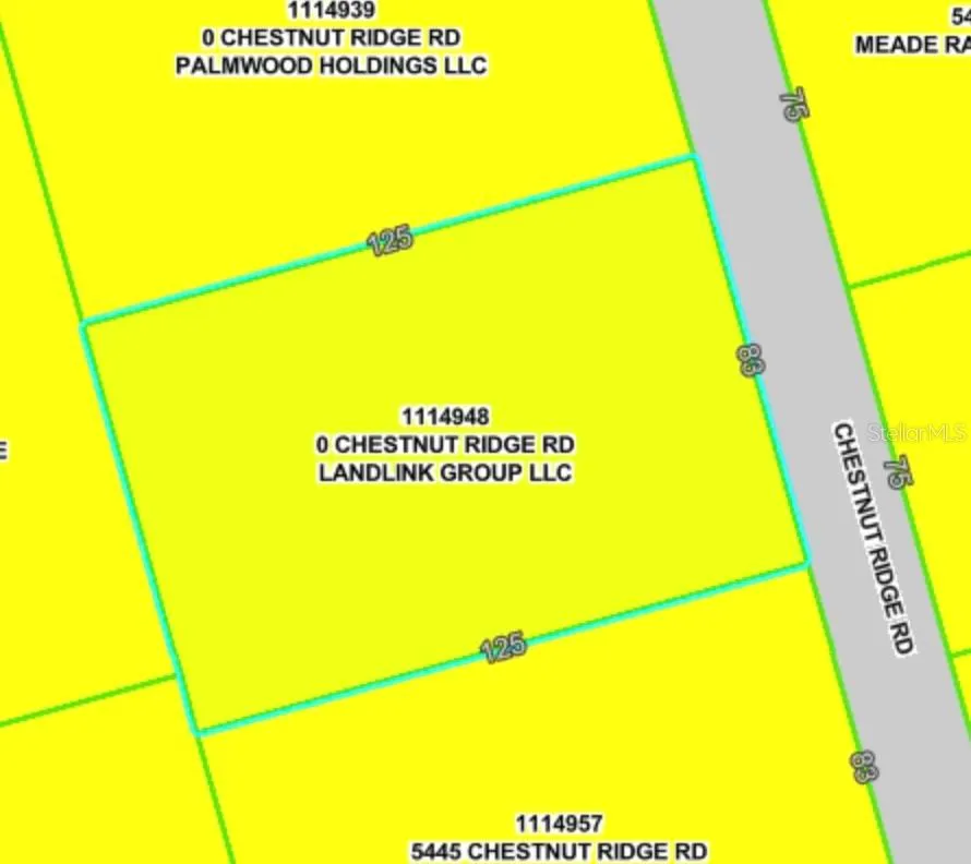 Lot 194 CHESTNUT RIDGE ROAD Dade City, FL 33523