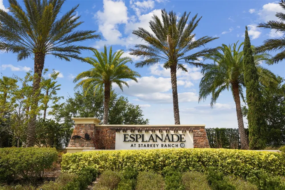 11503 CALLISIA DRIVE Odessa, FL 33556