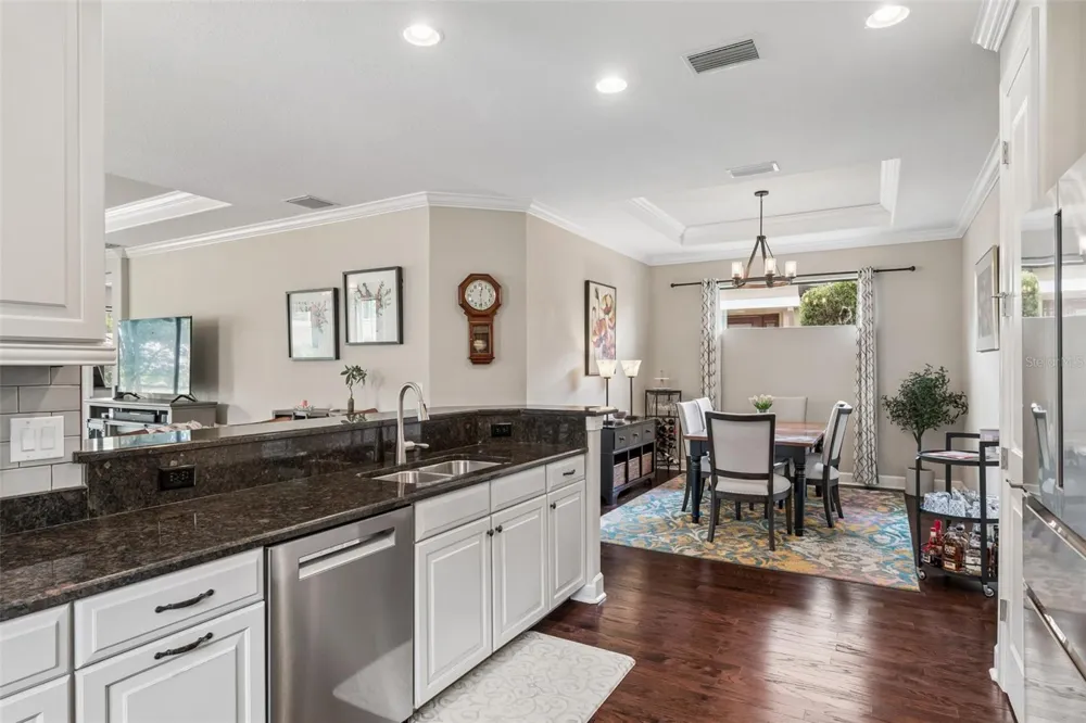 11503 CALLISIA DRIVE Odessa, FL 33556