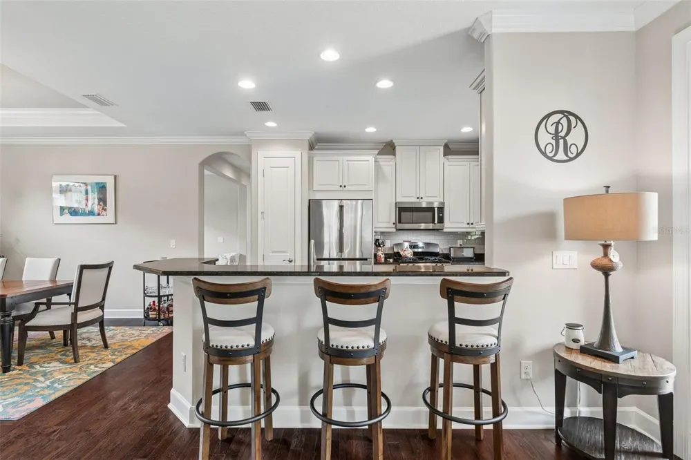 11503 CALLISIA DRIVE Odessa, FL 33556