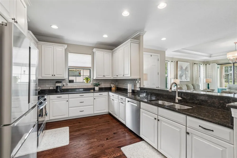 11503 CALLISIA DRIVE Odessa, FL 33556