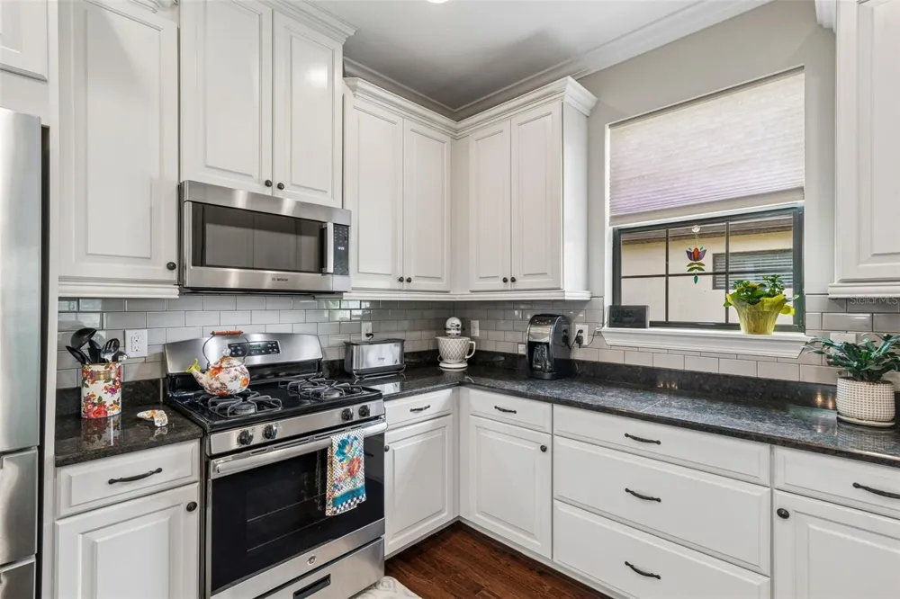 11503 CALLISIA DRIVE Odessa, FL 33556
