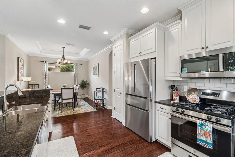 11503 CALLISIA DRIVE Odessa, FL 33556