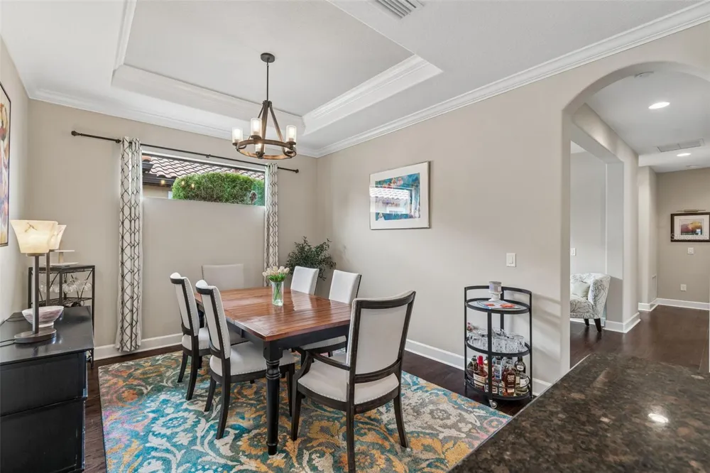 11503 CALLISIA DRIVE Odessa, FL 33556