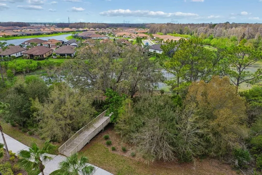 11503 CALLISIA DRIVE Odessa, FL 33556