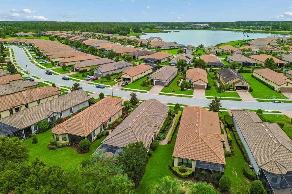 11503 CALLISIA DRIVE Odessa, FL 33556