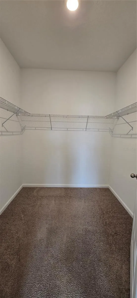 15660 MERLIN AVENUE Mascotte, FL 34753