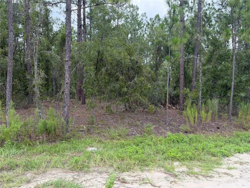 00 SW 131 AVENUE ocala, FL 34481