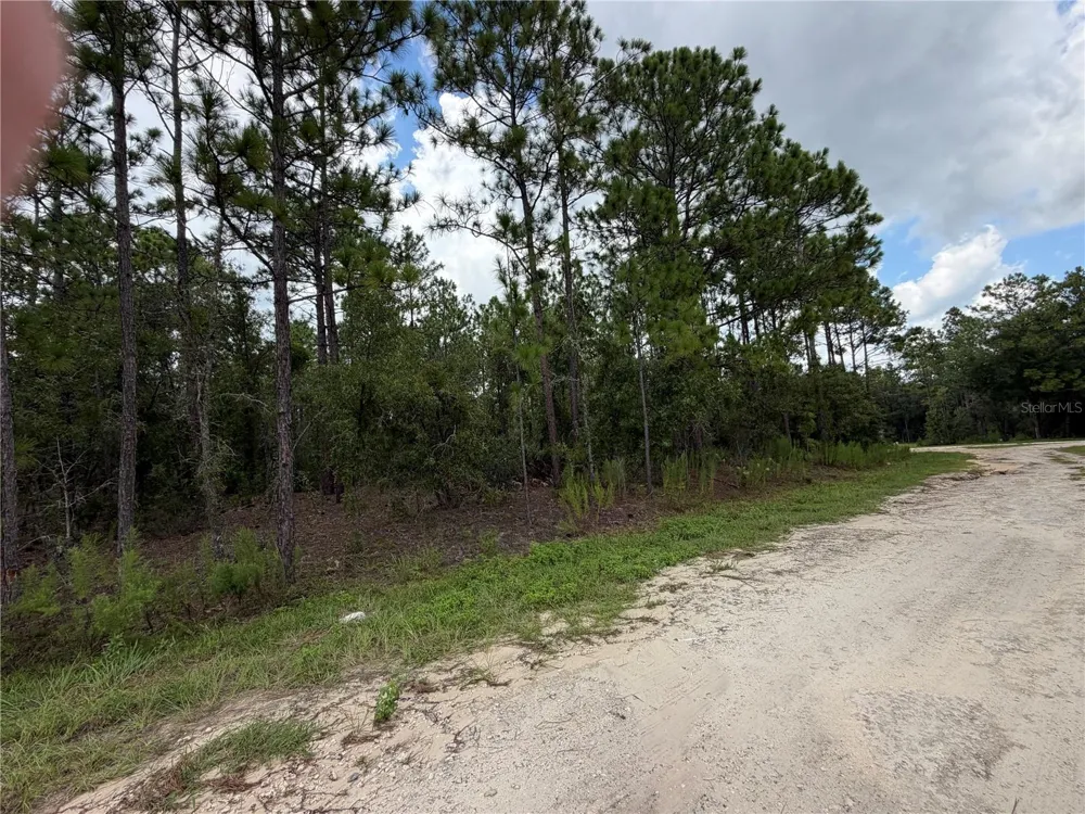 00 SW 131 AVENUE ocala, FL 34481