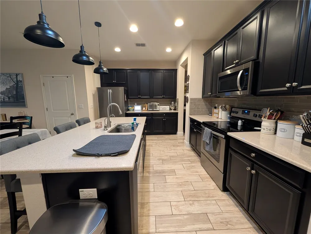 17849 ALTHEA BLUE PLACE Lutz, FL 33558