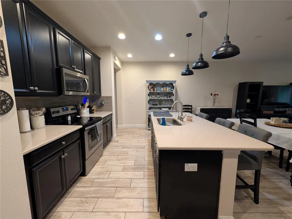 17849 ALTHEA BLUE PLACE Lutz, FL 33558