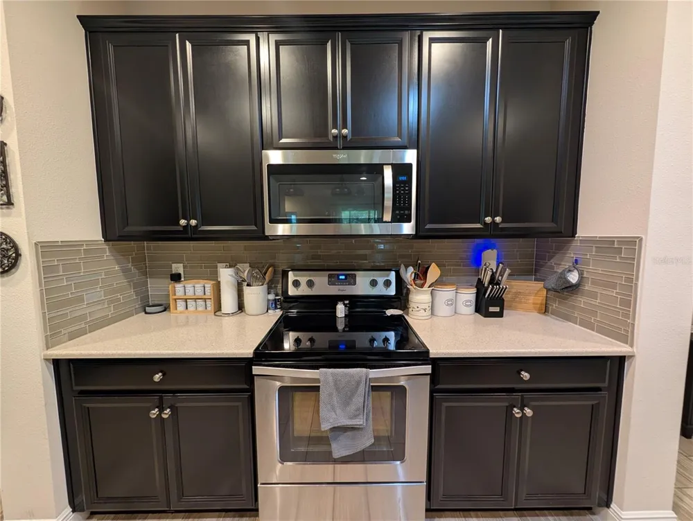 17849 ALTHEA BLUE PLACE Lutz, FL 33558
