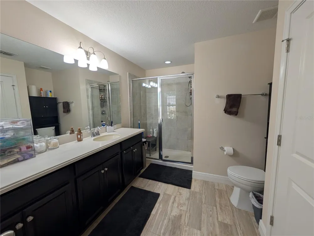 17849 ALTHEA BLUE PLACE Lutz, FL 33558