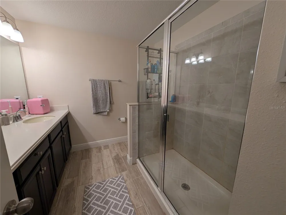 17849 ALTHEA BLUE PLACE Lutz, FL 33558