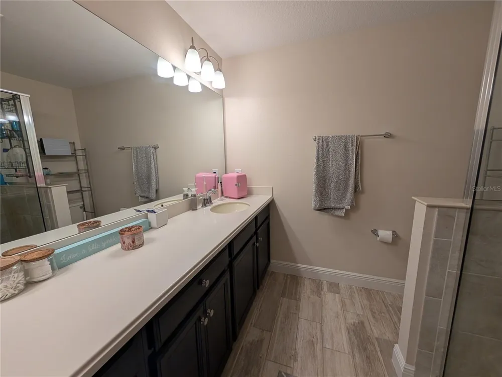17849 ALTHEA BLUE PLACE Lutz, FL 33558