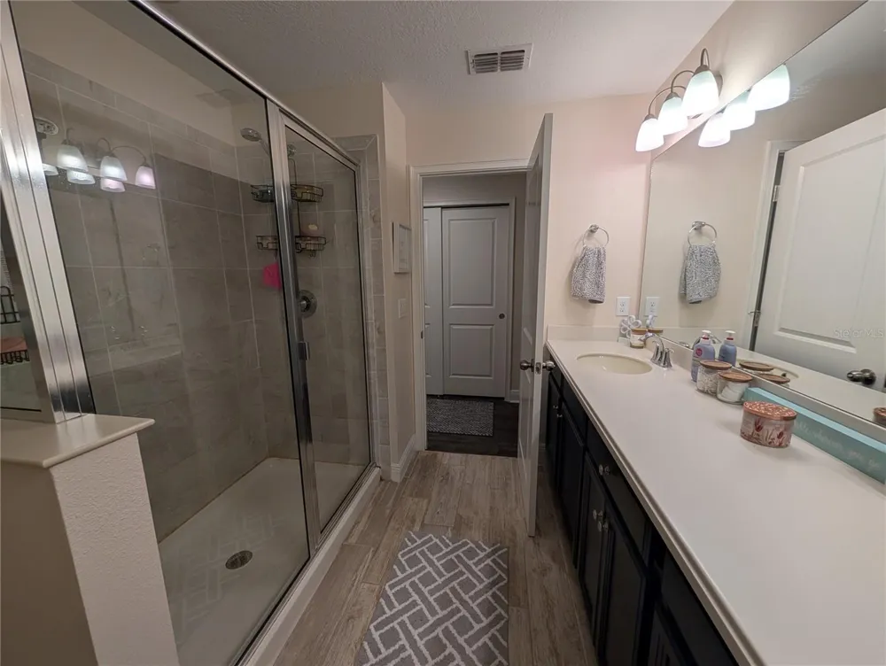 17849 ALTHEA BLUE PLACE Lutz, FL 33558