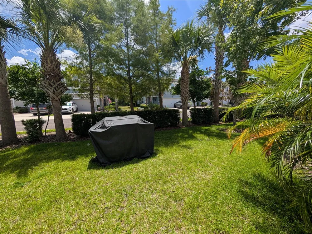 17849 ALTHEA BLUE PLACE Lutz, FL 33558