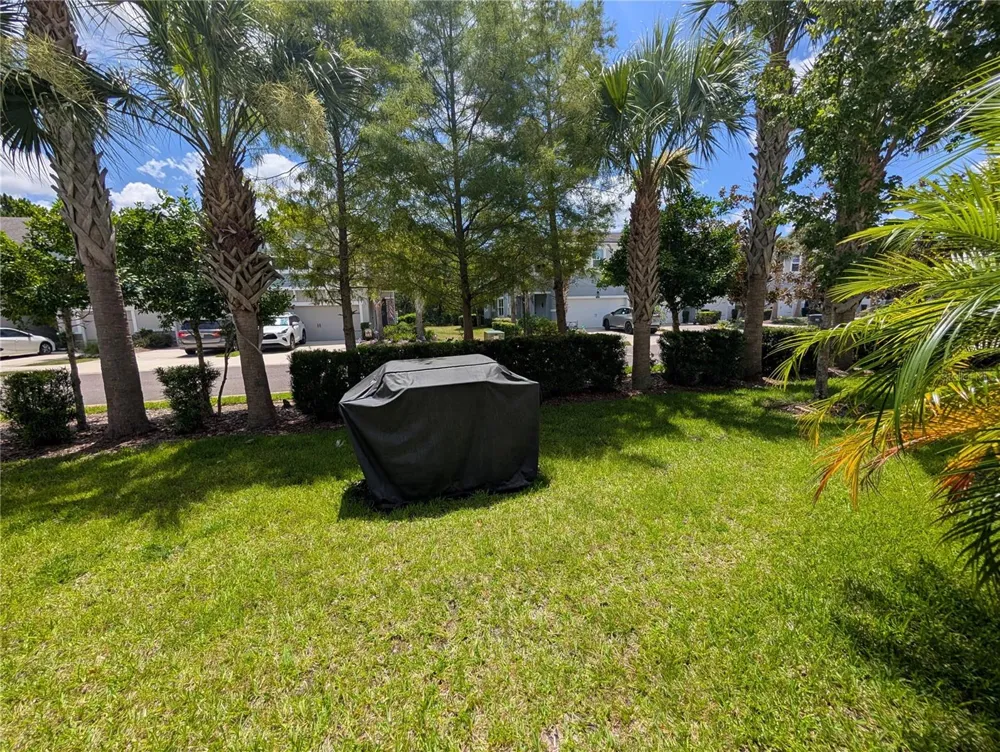 17849 ALTHEA BLUE PLACE Lutz, FL 33558