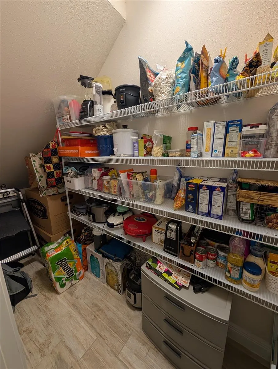 17849 ALTHEA BLUE PLACE Lutz, FL 33558