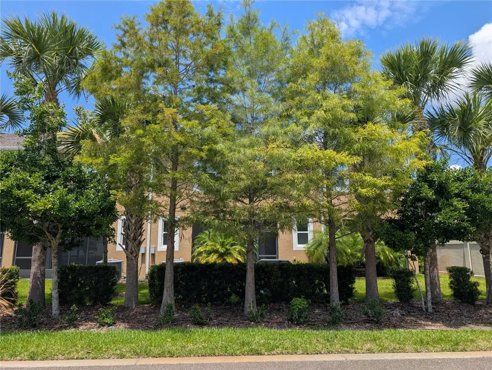 17849 ALTHEA BLUE PLACE Lutz, FL 33558